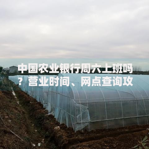 中国农业银行周六上班吗？营业时间、网点查询攻略来了