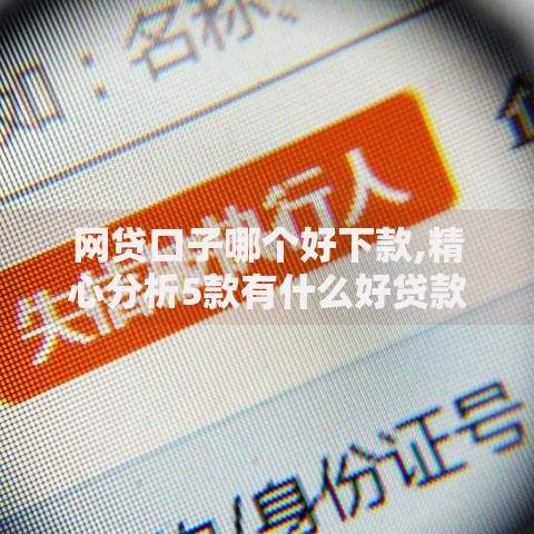网贷口子哪个好下款,精心分析5款有什么好贷款的平台