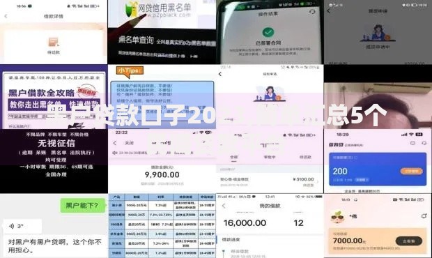 黑户贷款口子2023,简单汇总5个民间贷款平台