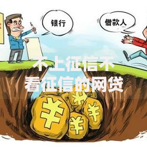 不上征信不看征信的网贷有哪些？最新平台解析与风险提示