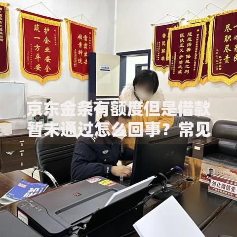 京东金条有额度但是借款暂未通过怎么回事？常见原因与解决办法解析