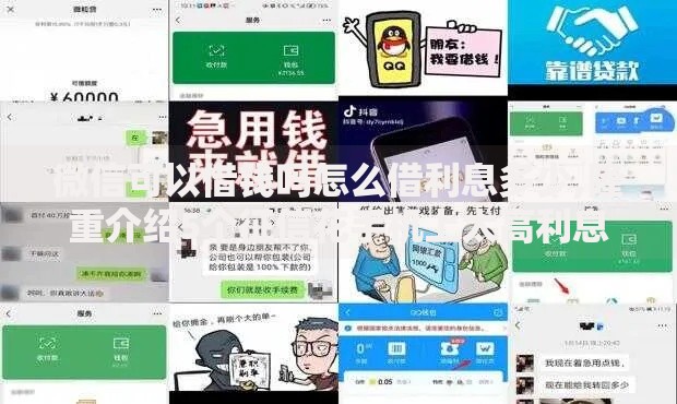 微信可以借钱吗怎么借利息多少,隆重介绍5个征信花手机上太高利息贷款软件