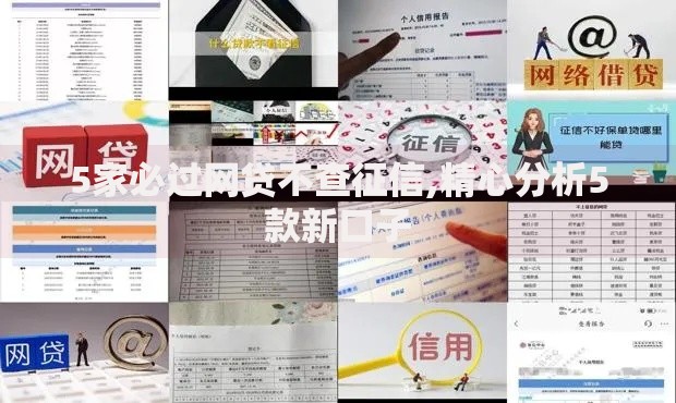 5家必过网贷不查征信,精心分析5款新口子