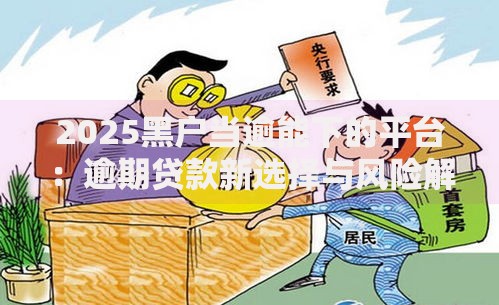 2025黑户当逾能下的平台：逾期贷款新选择与风险解析