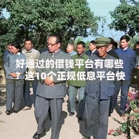 好通过的借钱平台有哪些？这10个正规低息平台快速到账