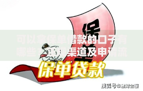 可以拿保单借款的口子有哪些？正规渠道及申请流程解析