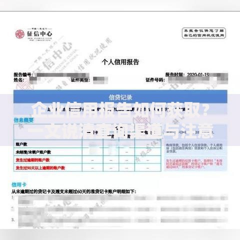 企业信用报告如何获取？一文说清查询渠道与注意事项