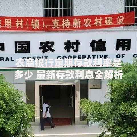 农商银行定期存款利率是多少 最新存款利息全解析