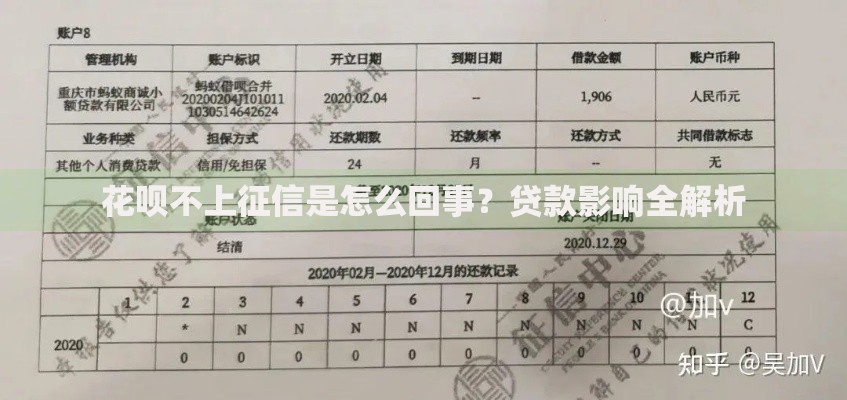 花呗不上征信是怎么回事？贷款影响全解析