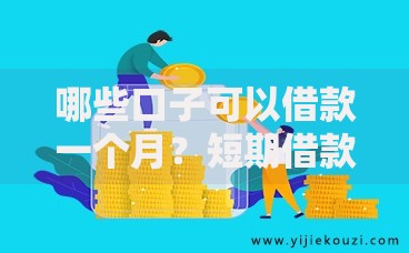 哪些口子可以借款一个月？短期借款渠道全解析