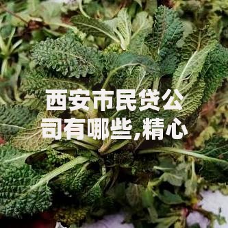 西安市民贷公司有哪些,精心分析5款先息后本的贷款平台