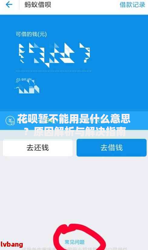 花呗暂不能用是什么意思？原因解析与解决指南