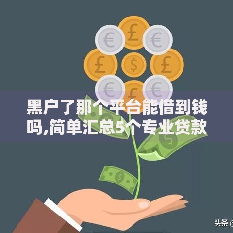 黑户了那个平台能借到钱吗,简单汇总5个专业贷款平台
