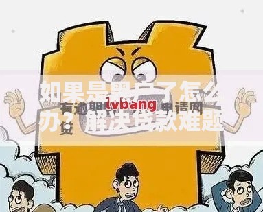 如果是黑户了怎么办？解决贷款难题的权威指南