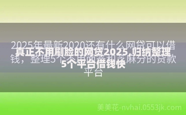 真正不用刷脸的网贷2025,归纳整理5个平台借钱快