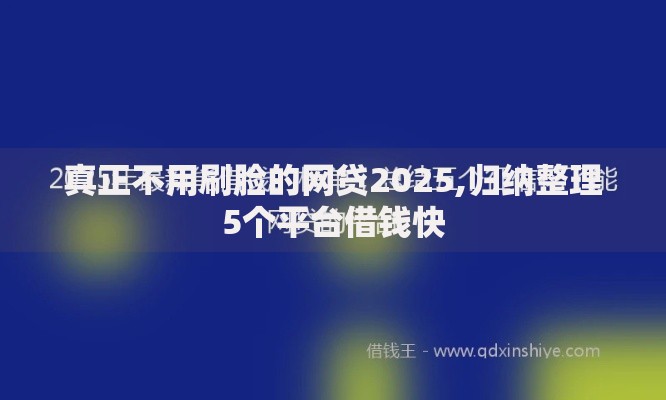 真正不用刷脸的网贷2025,归纳整理5个平台借钱快