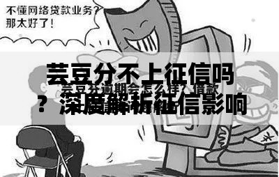 芸豆分不上征信吗？深度解析征信影响与使用建议