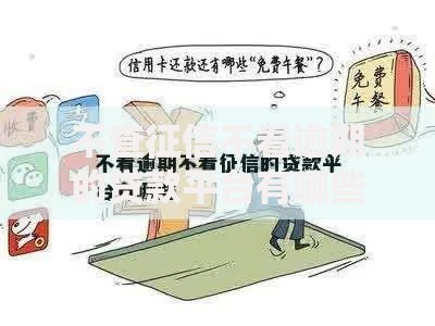不查征信不看逾期的贷款平台有哪些选择与风险解析