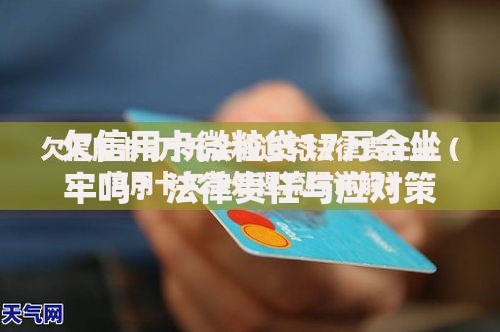 欠信用卡微粒贷17万会坐牢吗？法律责任与应对策略解析