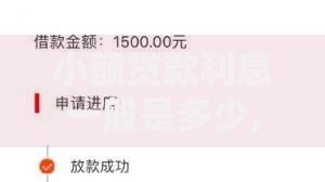 小额贷款利息一般是多少,简单汇总5个夜间秒下款的高炮口子