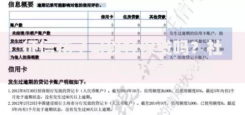 征信花了可以社保贷吗？社保贷款条件与征信影响解析