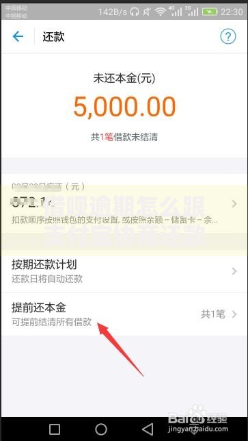 借呗逾期怎么跟支付宝协商还款呢？详细流程解析