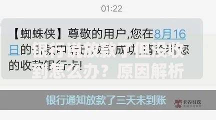 银行说放款了但没收到怎么办？原因解析与解决办法