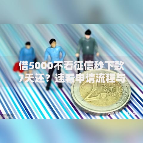 借5000不看征信秒下款7天还？速看申请流程与风险解析