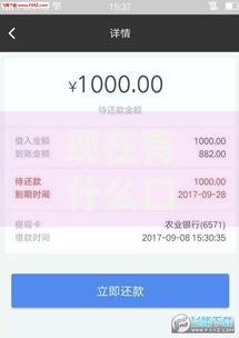 现在有什么口子 好下款？最新低门槛贷款渠道解析