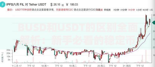BUSD和USDT的区别全面解析：新手必看的稳定币选择指南