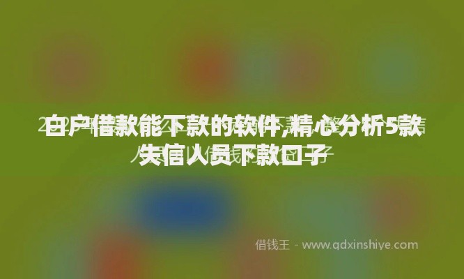 白户借款能下款的软件,精心分析5款失信人员下款口子