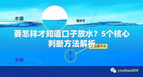要怎样才知道口子放水？5个核心判断方法解析