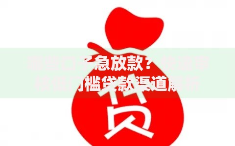 哪些口子急放款？快速审核低门槛贷款渠道解析