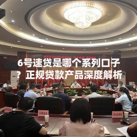 6号速贷是哪个系列口子？正规贷款产品深度解析
