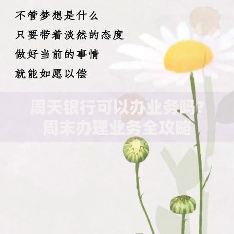 周天银行可以办业务吗？周末办理业务全攻略