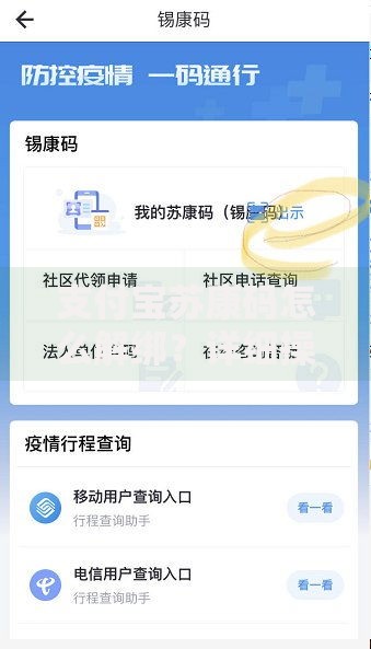 支付宝苏康码怎么解绑？详细操作步骤与常见问题解答