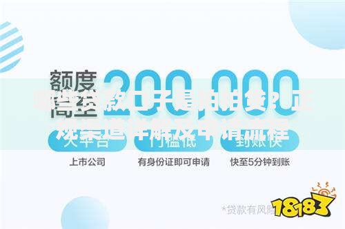 哪些贷款口子是拍拍贷？正规渠道详解及申请流程