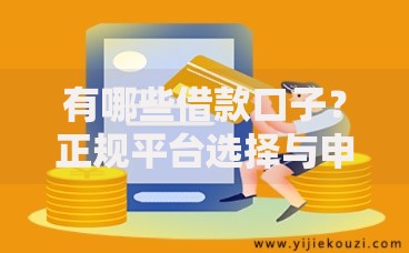 有哪些借款口子？正规平台选择与申请攻略