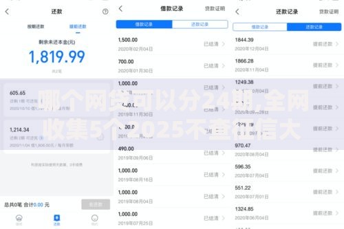 哪个网贷可以分24期,全网收集5个2025不查征信大数据百分百下款的平台