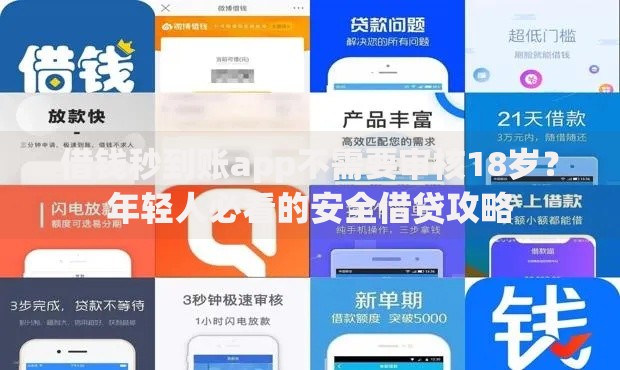 借钱秒到账app不需要审核18岁？年轻人必看的安全借贷攻略