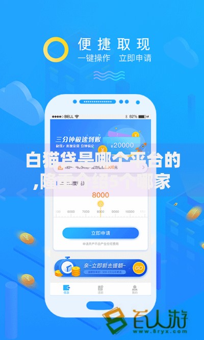 白猫贷是哪个平台的,隆重介绍5个哪家贷款平台容易通过