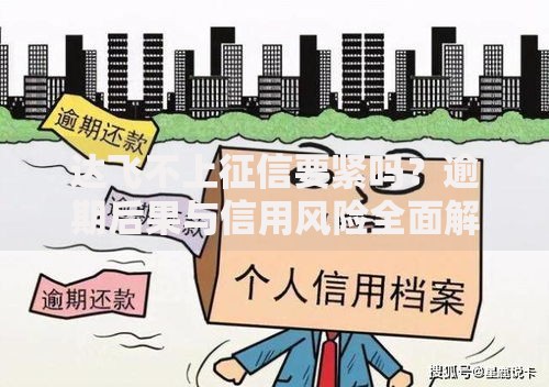 达飞不上征信要紧吗？逾期后果与信用风险全面解析