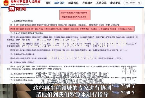 社工职业新规定下如何申请低息贷款？