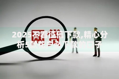 2025不看征信下款,精心分析5款花户必下款的口子