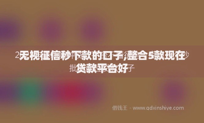 无视征信秒下款的口子,整合5款现在贷款平台好