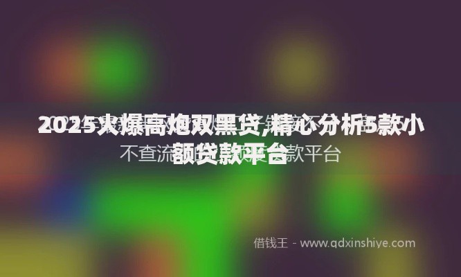 2025火爆高炮双黑贷,精心分析5款小额贷款平台