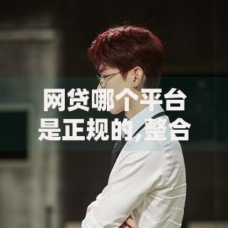网贷哪个平台是正规的,整合5款贷款加盟平台