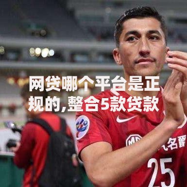 网贷哪个平台是正规的,整合5款贷款加盟平台