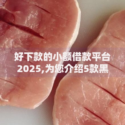 好下款的小额借款平台2025,为您介绍5款黑口子贷款秒过的口子 好下款的小额借款平台2025,为您介绍5款黑口子贷款秒过的口子