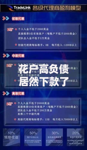 花户高负债居然下款了,精心分析5款贷款客户平台